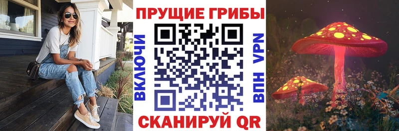 Галлюциногенные грибы Cubensis  Пугачёв 
