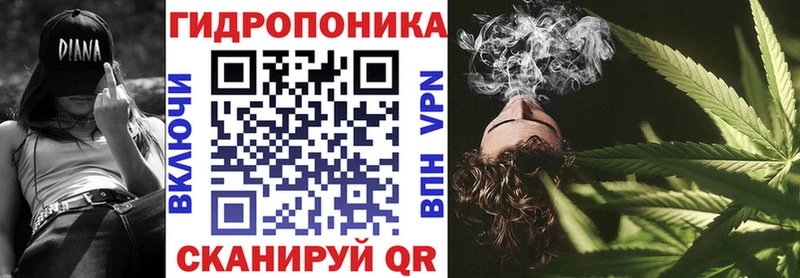 Бошки Шишки планчик  blacksprut маркетплейс  Пугачёв 